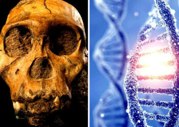 Alien DNA Discovered In 400,000 Years Old Human Bone, Scientists baffled