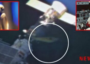 “I saw a nine-foot Alien walking on the Space Shuttle”, claims a NASA veteran