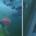 NASA Sent This Mysterious Alien-Hunting Robot Under Antarctica’s Ice.