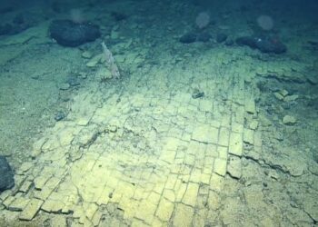 Descubren un misterioso «camino de ladrillos» sumergido a 3 mil metros de profundidad en el océano pacífico.