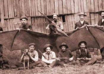 The Legendary Ancient Thunderbird Was Real And It May Actually Exist Even These Days