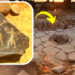 Archaeologists Made A 14400 Year Old Discovery In Jordan That Radically Rewrites Human History