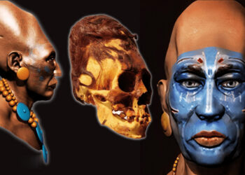 DNA Tests Reveal 3,000-year-old Paracas Skulls Are Of Unknown Human Race