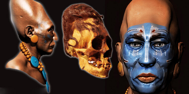 DNA Tests Reveal 3,000-year-old Paracas Skulls Are Of Unknown Human Race