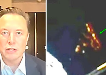 Elon Musk Has Revealed That Spacex Camera’s Keep Detecting Something Huge During Their Missions