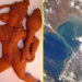 Did A Civilization Of Humanoid Apes ‘Vanara’ Build Bridge On Ocean 18,000 Years Ago?