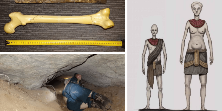 Giant Humans Lived In New Zealand 2500 Years Ago, Before Ancient Polynesians
