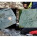 600 million-year-old fossils of tiny humanoids found in Antarctica
