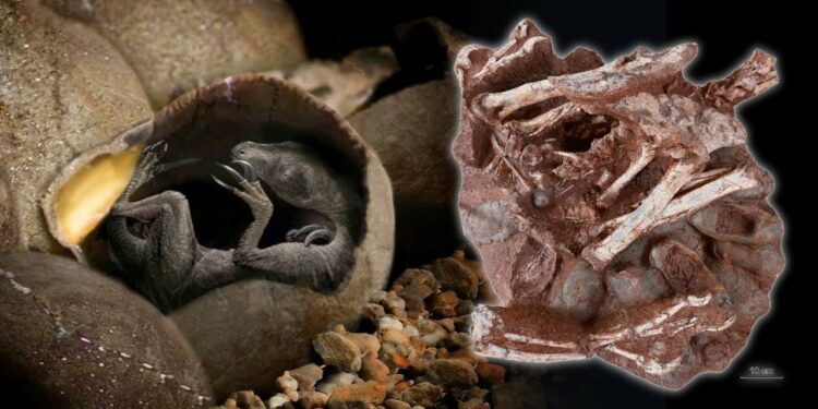 Incredibly preserved dinosaur embryo found inside fossilized egg