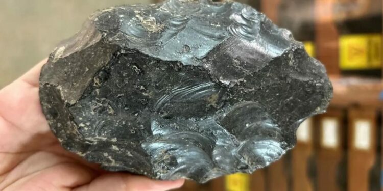 Obsidian handaxe-making workshop from 1.2 million years ago discovered in Ethiopia