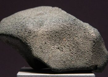 These Meteorites Contain All Of The Building Blocks Of DNA