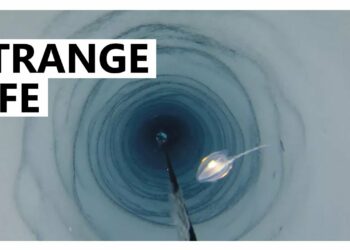 Scientists accidentally discovered life under 3,000 feet of ice in Antarctica