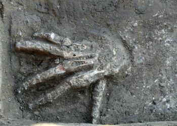 3600-year-old pits full of giant hands discovered in Egypt