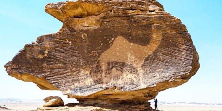 Hima, a rock art site in Saudi Arabia, added to the UNESCO World Heritage List