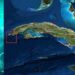 The Underwater City Of Cuba – Is This The Lost City Of Atlantis?
