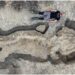 Extremely Rare 180-Million-Year-Old Giant “Sea Dragon” Fossil Discovered In UK