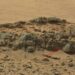 Mysterious “Creature” Filmed by NASA’s Curiosity Rover on Mars
