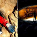 Ancient Superhighways: 12,000-Year-Old Massive Underground Tunnels Stretch From Scotland To Turkey