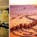 Valley Of Whales: 50 Million-Year-Old Site In Egypt’s Desert That Was Once Vast Ocean