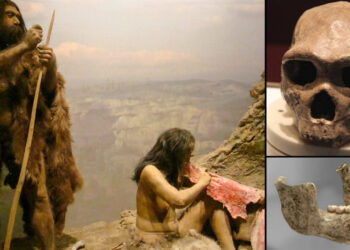Alien DNA in the body of the world’s oldest human ancestor!
