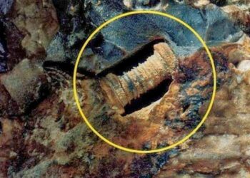 300 Million Year Old Screw Is Proof of A Lost Civilization!