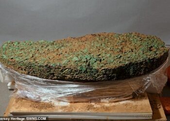 Detectorists unearth record-breaking haul of 69,347 Iron Age coins after a 30-year search