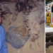 Egyptian Archaeologists Rewrite History With the Discovery of a Tomb of a Previously Unknown Queen