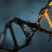 Experts believe all humans are descended from a couple who lived 200,000 years ago