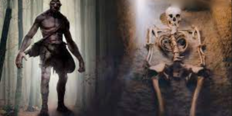 200 ancient ‘giant’ skeletons unearthed in Cayuga, Canada