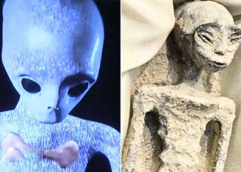 Mexican Alien Bodies Are Authentic, Non-Human & Unknown To Science, Scientists Say