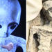 Mexican Alien Bodies Are Authentic, Non-Human & Unknown To Science, Scientists Say