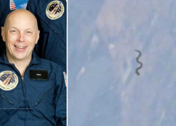 Ret. NASA Astronaut Claimed To Have Seen Snake-Shaped UFOs During Two Missions In Space