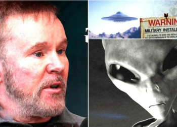 Stanford Top Scientist Claims ‘100%’ Aliens Are On Earth; He Himself Saw Grey E.T.s