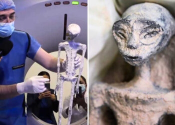 Mexican Dead Alien Bodies are Not a Hoax: They Have Humanoid Features, Researchers Say