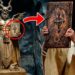 20 Darkest Secrets The Vatican Is Hiding From Us