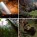 The World’s Largest Cave: A Hidden Realm of Rainforest, Rivers, and Clouds
