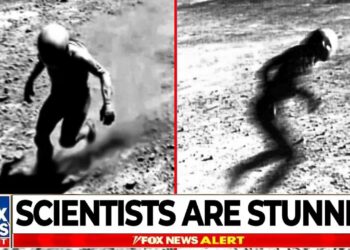 China’s Shocking Discovery on the Moon Leaves Scientists Astonished!