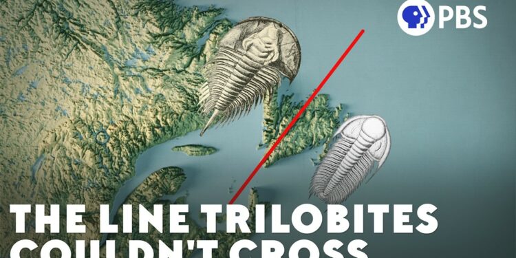 There’s An Invisible Ocean Between These Fossils