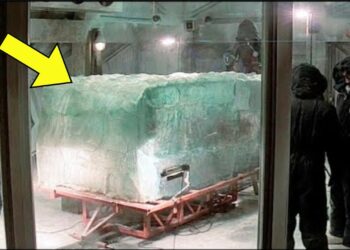 Scientists Discover 40.000 Years Old Ice Coffin, The Creature Inside Still Alive!