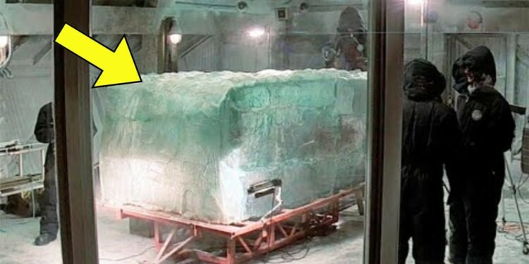 Scientists Discover 40.000 Years Old Ice Coffin, The Creature Inside Still Alive!