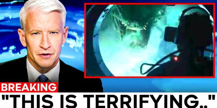 Fishermen Captured Something Out Of This World In The Mariana Trench