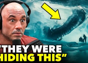 What A Camera Captured In Antarctica Is Shocking the world