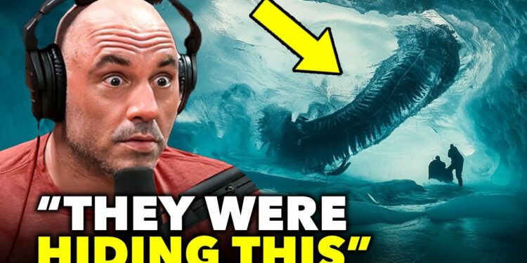 What A Camera Captured In Antarctica Is Shocking the world