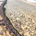 They Spilled Billions of Tons of Water into the Desert, a Year Later the Result Was Unexpected