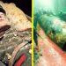 FINALLY FOUND! 50 World War II Discoveries You Need To See