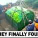 Oak Island Mystery Finally Solved in 2025!