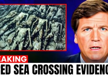 Scientists FINALLY Found Evidence For Mystery of The Red Sea Crossing 2025
