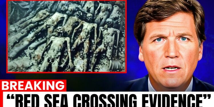 Scientists FINALLY Found Evidence For Mystery of The Red Sea Crossing 2025