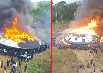 UFO Crash in the Amazon Confirmed by Leaked Government Documents