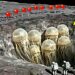 China FREAKS OUT After Shocking Discovery on Moon Leaves Scientists Speechless!